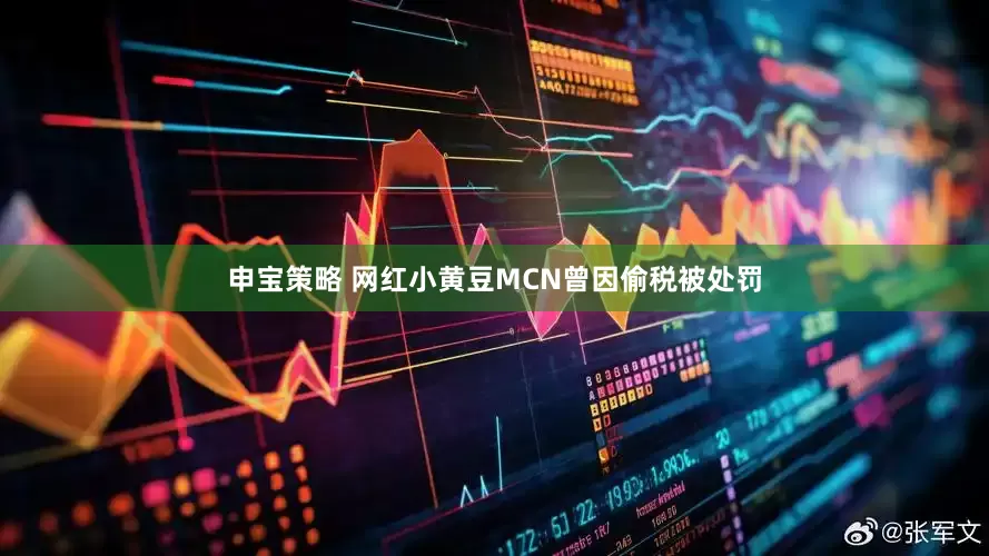 申宝策略 网红小黄豆MCN曾因偷税被处罚