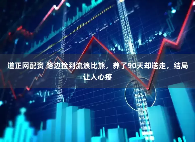 道正网配资 路边捡到流浪比熊，养了90天却送走，结局让人心疼