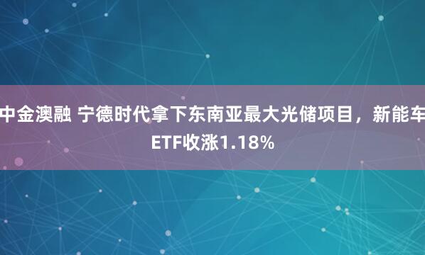 中金澳融 宁德时代拿下东南亚最大光储项目，新能车ETF收涨1.18%