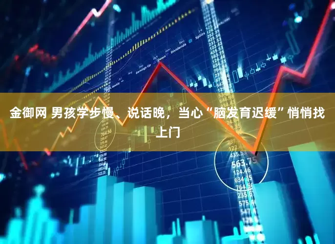 金御网 男孩学步慢、说话晚，当心“脑发育迟缓”悄悄找上门